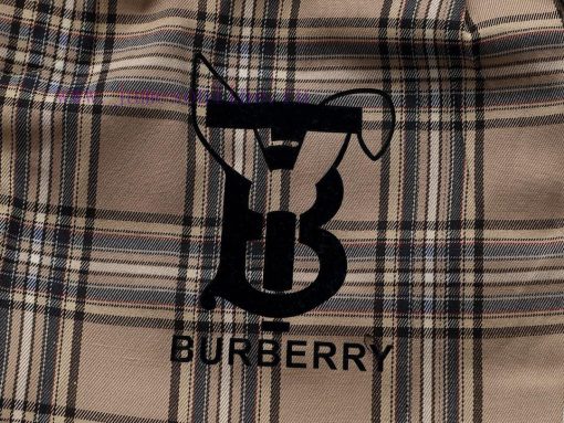 Top Differentiated CurrencyStyle Burberry Bur Classic Checkered PantsColor Picture ColorSize S- xe01pm7k - Image 6