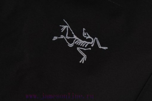 Ceiling LevelARC TERYX Archaeopteryx GAMMA MX PANT Laminated Windproof Soft Shell PantsArchaeop tz9t2wtw - Image 7