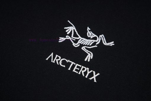 [Ayc Teryx Archaeopteryx]2024 FW Short Sleeved T-shirt With Bird Letter Logo Silver EmbroideryH euuywwx4 - Image 4