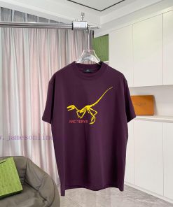 ARC'TERYX * Archaeopteryx 2025 Summer New Personalized Logo Printed Short Sleeve T-shirt Custom 911xuan4