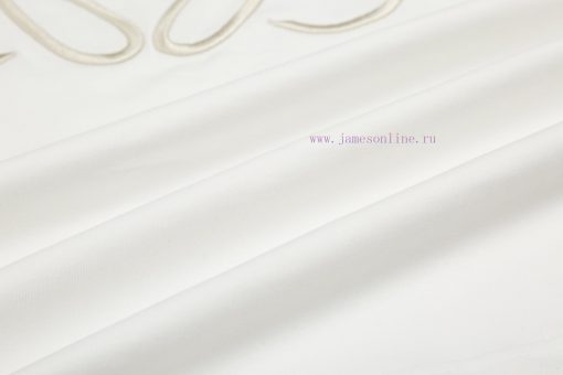 ️LOEWE * Luo YiweiLOEWE * Luoyiwei Misaligned Logo Embroidered Short Sleeved T-shirt-Customized gqw04g7f - Image 11