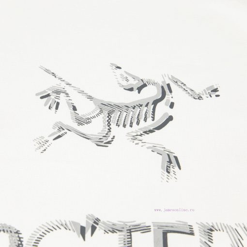 [Ayc Teryx Archaeopteryx]2025FW Short Sleeved T-shirt With Front Bird Letter Logo High-end Prin fn5ffcp3 - Image 6