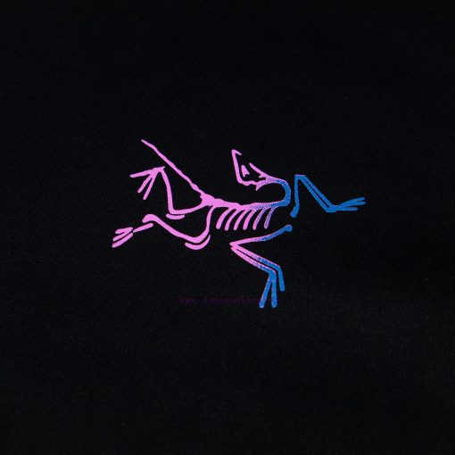 [Ayc Teryx Archaeopteryx]2025FW Short Sleeved T-shirt Front Bird Letter Logo Premium Gradient P 0udztn6z - Image 4