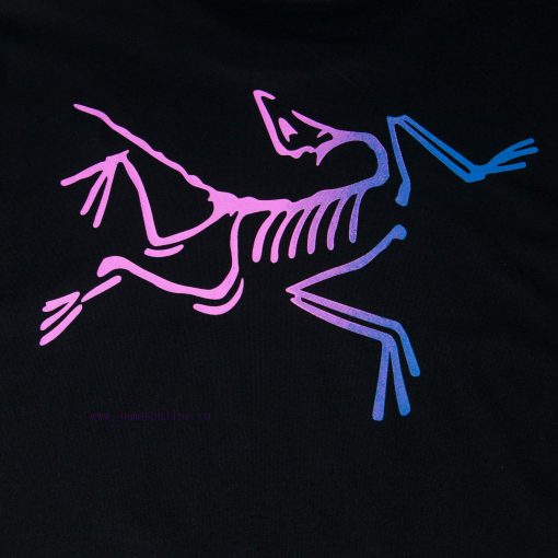 [Ayc Teryx Archaeopteryx]2025FW Short Sleeved T-shirt Front Bird Letter Logo Premium Gradient P 0udztn6z - Image 5