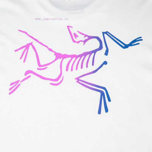 [Ayc Teryx Archaeopteryx]2025FW Short Sleeved T-shirt Front Bird Letter Logo Premium Gradient P lixl2ubt - Image 6
