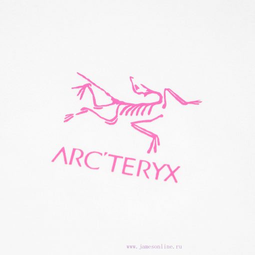 [Ayc Teryx Archaeopteryx]2025FW 冚 Ming Five Line Short Sleeved T-shirt With Bird Letter Logo Hi zi7d2ed5 - Image 5