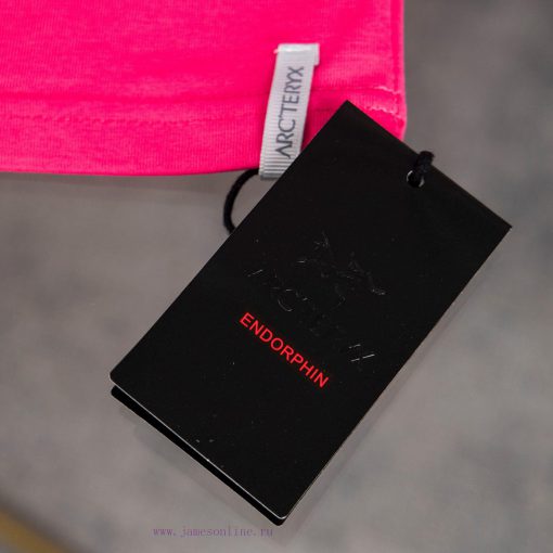 [Ayc Teryx Archaeopteryx]2025FW Short Sleeved T-shirt With Front Bird And Back Logo High-end Pr lzr6sccy - Image 9