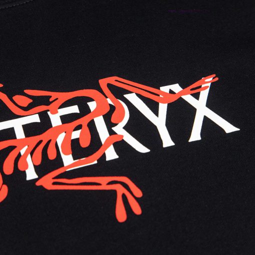 [Ayc Teryx Archaeopteryx]2025FW Short Sleeved T-shirt With Bird Letter Logo High-end Printing 3 dpgcjs7p - Image 5