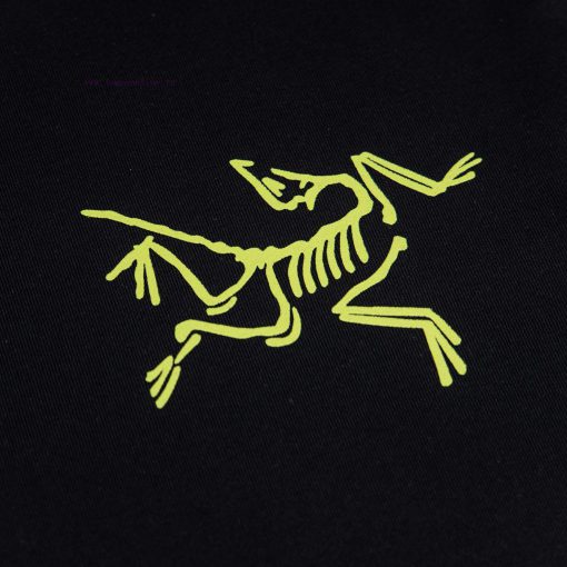 [Ayc Teryx Archaeopteryx]2025FW Short Sleeved T-shirt With Bird Letter Logo High-end Color Prin hk7p42f2 - Image 4