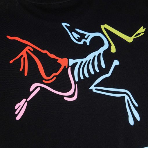 [Ayc Teryx Archaeopteryx]2025FW Short Sleeved T-shirt With Bird Letter Logo High-end Color Prin hk7p42f2 - Image 5