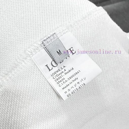 High Quality LOEWE Classic Element Printed Shorts Exquisite Printing Technology Fabric Made Of qa9fdvmm - Image 11