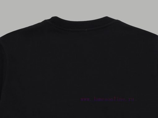 Top Differentiated CurrencyStyle: LOEWE Color Blocked Embroidered Short SleeveColor Picture Col 31l5d0y7 - Image 11
