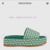 Ladies' GG Gucci Thick Bottom SlippersGucci Women's Signature Shoes Highlight A Striking Theme 87vo2lss
