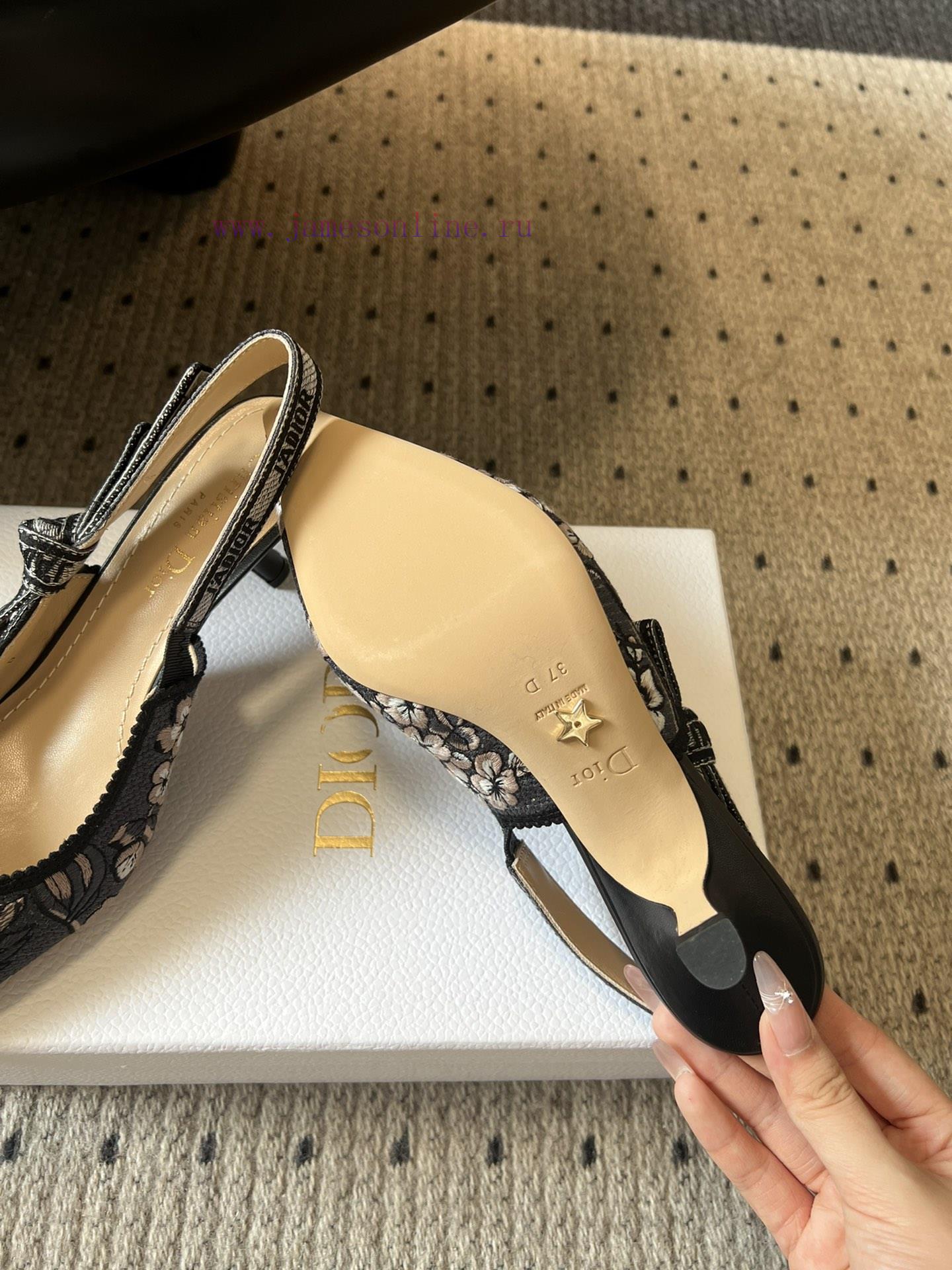 Top QualityDior Classic Multi Color Embroidered Printed High HeelsA Masterpiece Showcasing Dior 81qo3env - Image 5