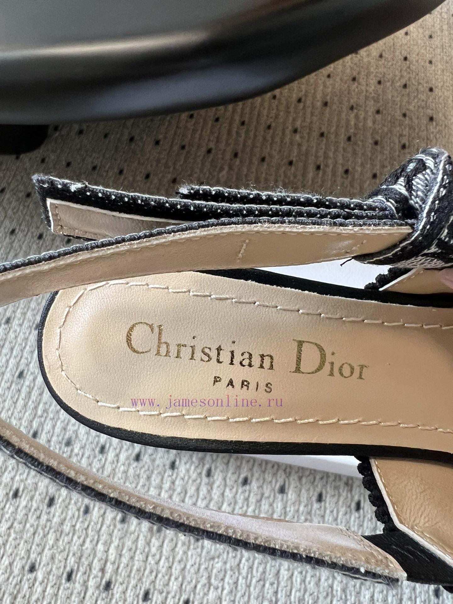 Top QualityDior Classic Multi Color Embroidered Printed High HeelsA Masterpiece Showcasing Dior 81qo3env - Image 7