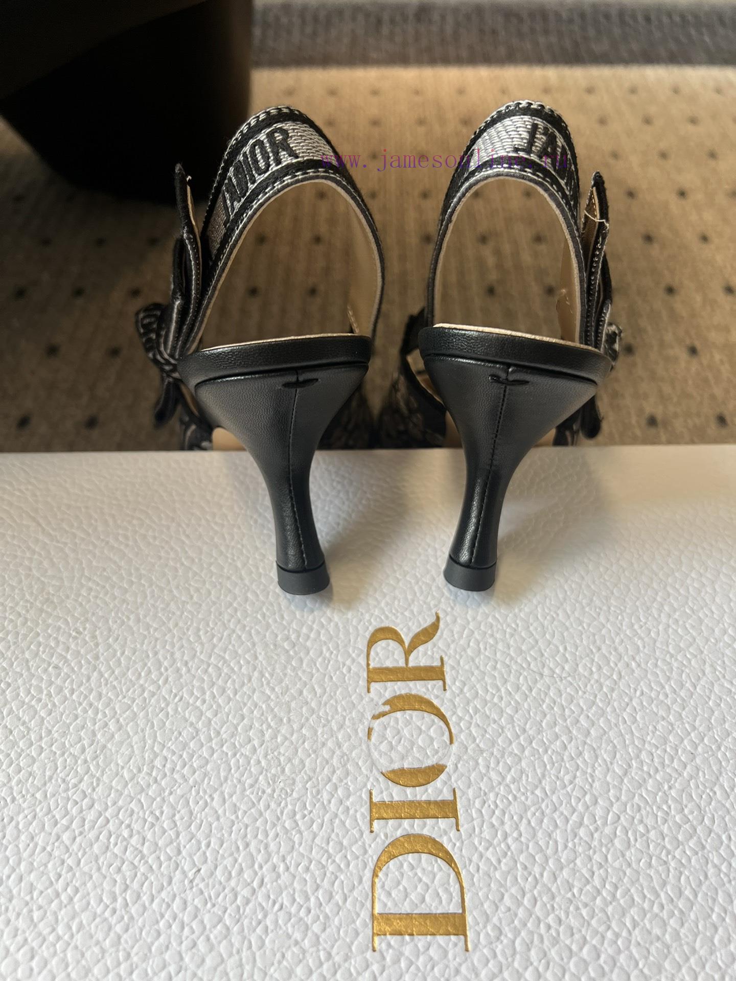 Top QualityDior Classic Multi Color Embroidered Printed High HeelsA Masterpiece Showcasing Dior 81qo3env - Image 8