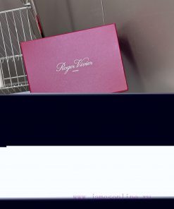 Roger Vivier's Latest German Training Shoes For Autumn And Winter Thin Soled ShoesA Treasure Th dj2aslt9